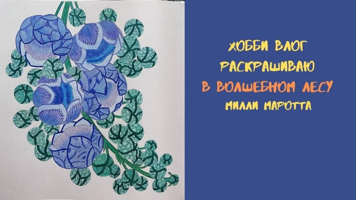 ХОББИ ВЛОГ № 1  _ Раскрашиваю В волшебном лесу Милли Маротта
