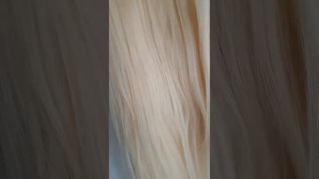 Волосы на леске цвет 60-блонд