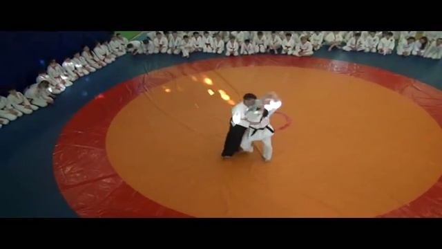 Айкидо показательные май 2014