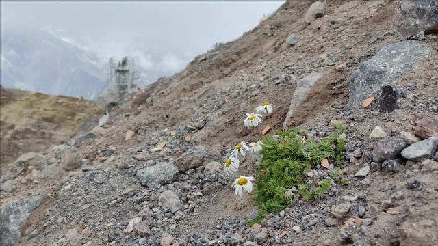 Эльбрус, экскурсия из Пятигорска (сентябрь 2023)
