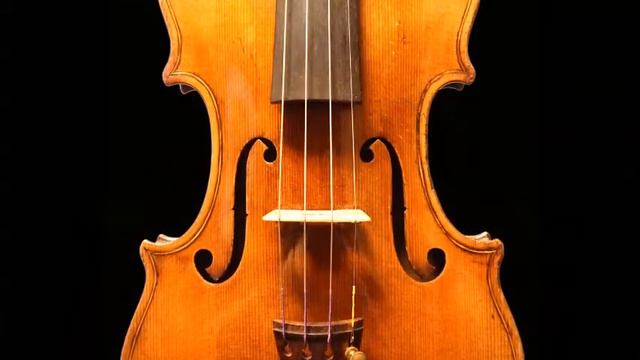 バイオリン・Stradivari型のf字孔・ストラディヴァリ・特徴