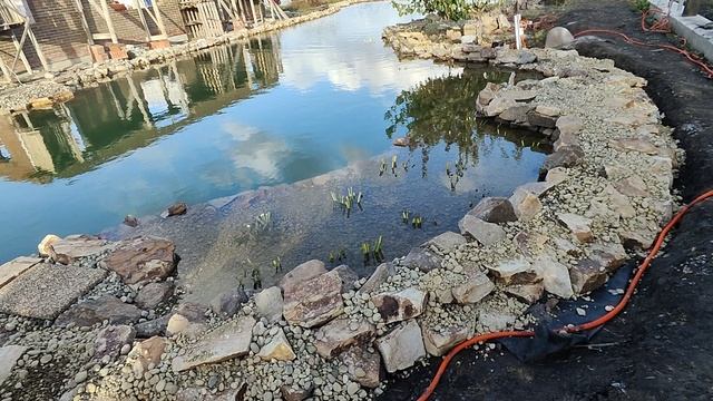 Водоем для плавания. Курск.