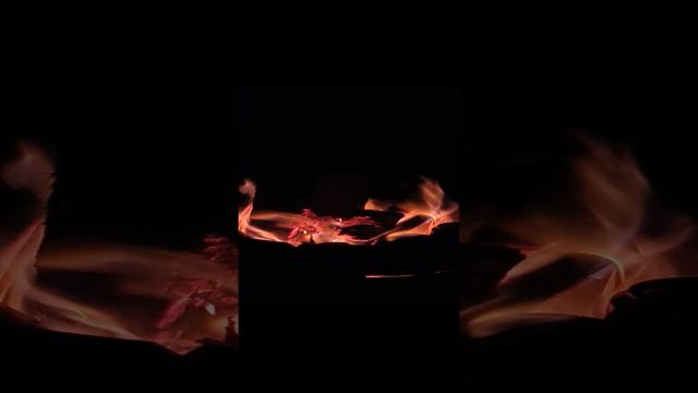 VID_20230718_010548.mp4