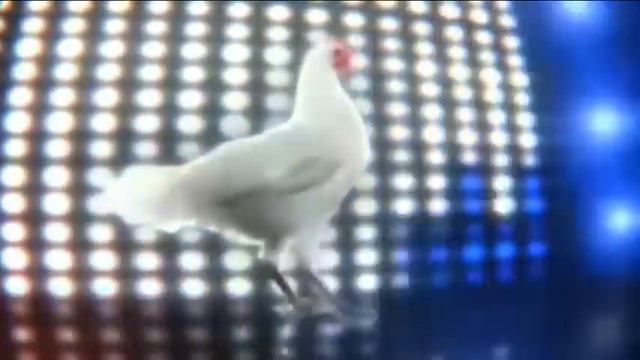 Курица танцует