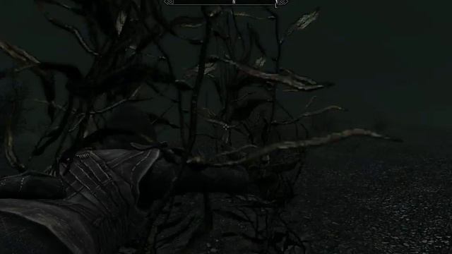 Skyrim highest survived jump