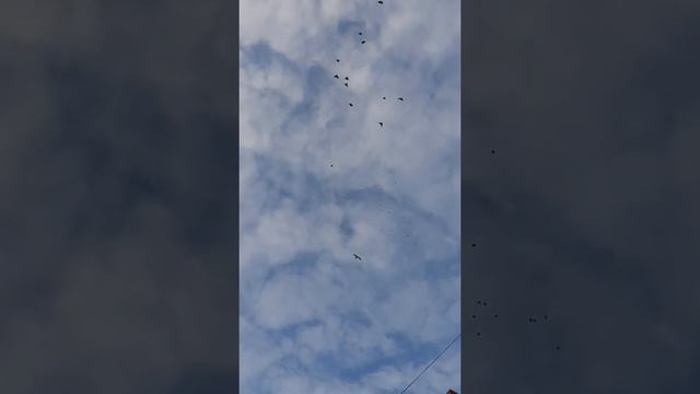 Подъем 24.06.2019,вечер.