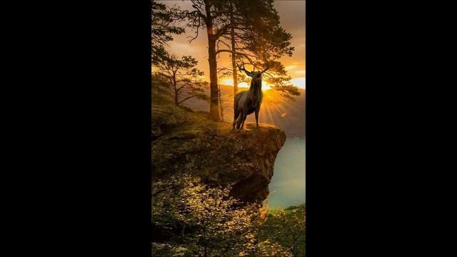 Флёр и ледяной дракон. 18 главка