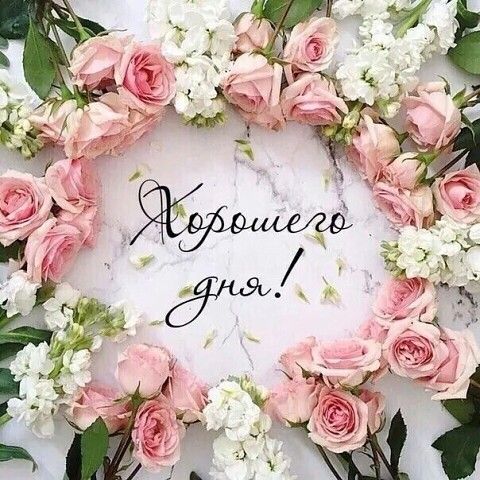Добрый День?