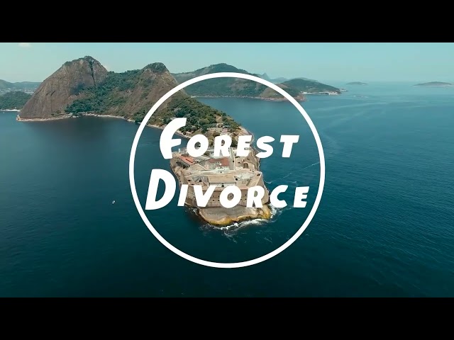 Forest Divorce