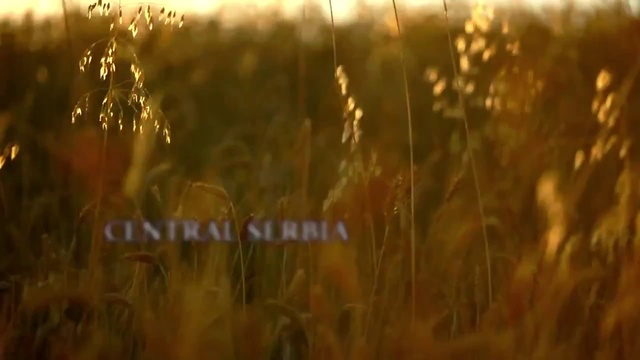 SoulFood Serbia/Сербия — пища для души