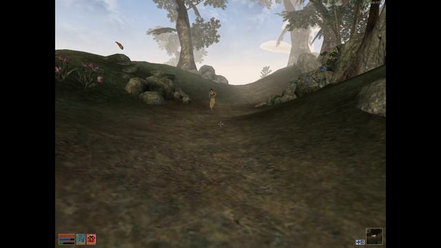 Doing escort quests in Morrowind