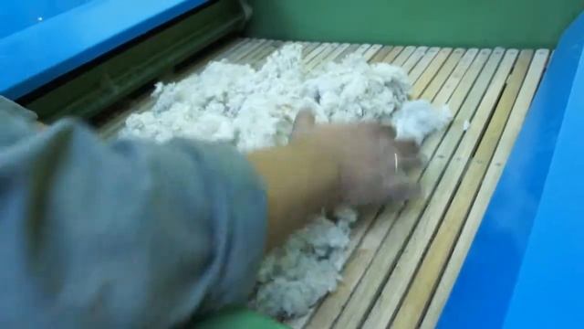 открыватель шерсти 2013