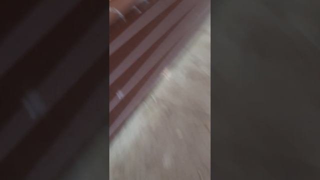 2 часть 2 ноября день приключения