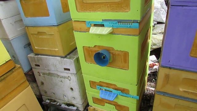 10.05.2024 - методика содержания пчел без весеннего сокращения гнезда и подкормок зимой и весной
