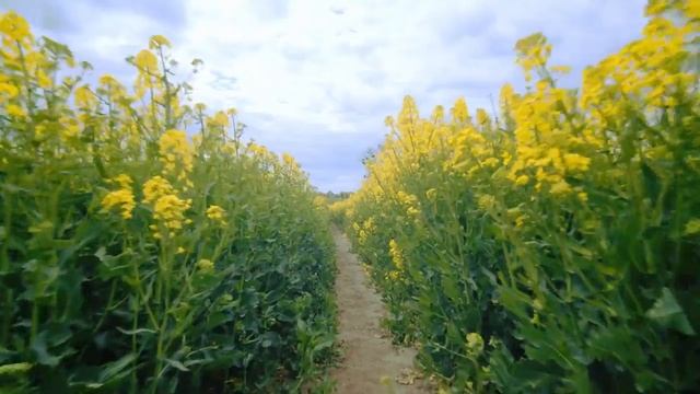 В чём смысл служения Богу?