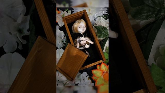 Коллекция безногих кукол #ooakmonsterhighdoll #ooakmonsterhigh #ooakdoll
