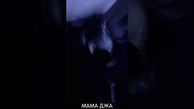 МОНГООЛ, Lucas Cool, Mystic Mike, Репит - Мама Джа (Сниппет) #shorts
