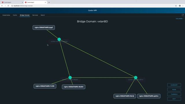 contiv vpp demo video