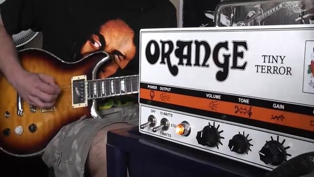 Orange Tiny Terror Review