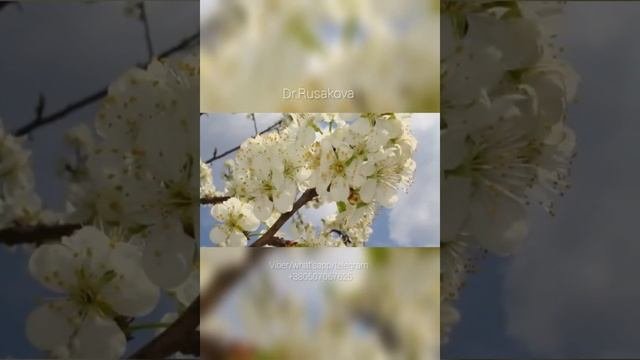 увлажнение кожи биоревитализация