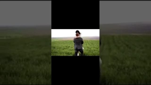 Луна «чистый сон»
