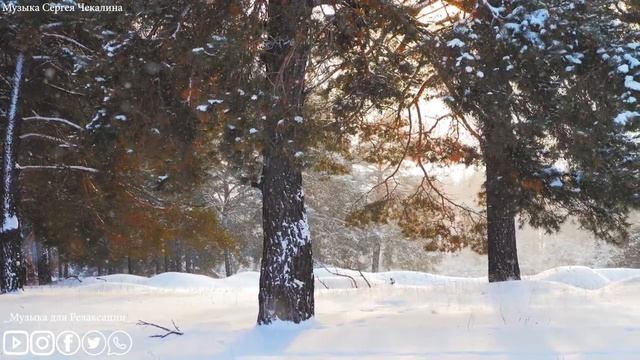Музыка для души. Эту музыку можно слушать вечно! Лучшие композиции Сергею Чекалину