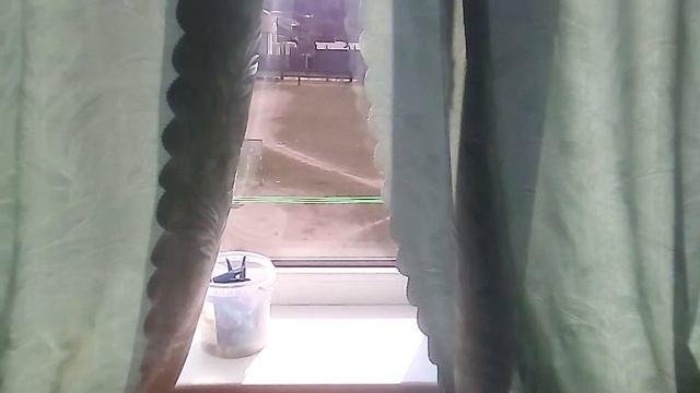 Погода в городе и деревне/ Чем отличается?/ Очень жарко 🌡️🌞