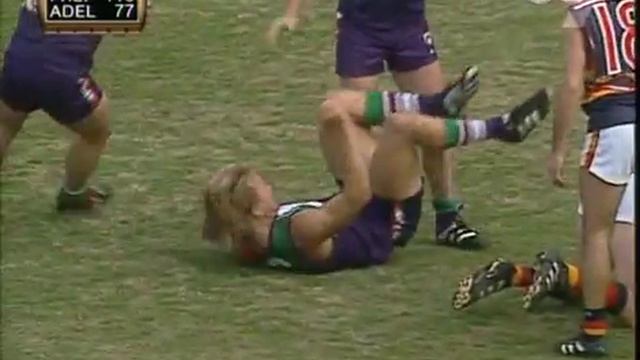 Wall to Wall Fremantle Dockers
