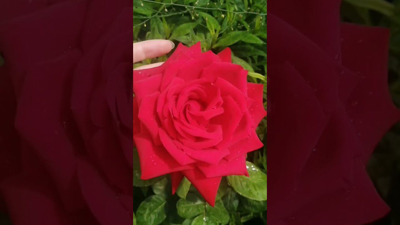 Краски природы