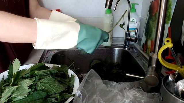 Суп из крапивы
