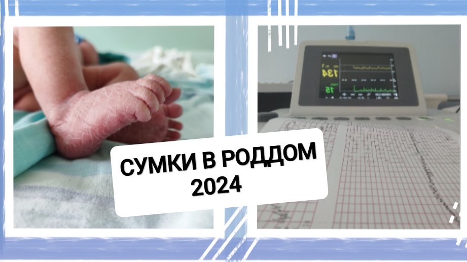 СУМКИ В РОДДОМ 2024