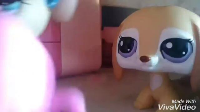 Lps: День рождения Коди