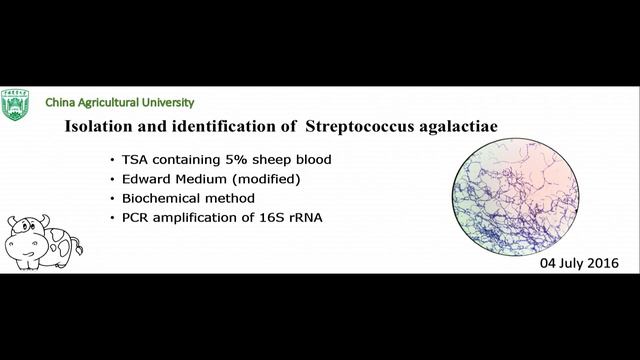 Application of Multilocus Sequence Typing in Streptococcus agalactiae isolated from Bovine Mastitis