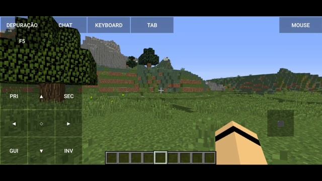 COMO COLOCAR SKINS NO POJAVLAUNCHER EM QUALQUER VERSÃO DO MINECRAFT