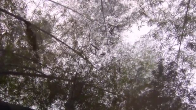'Сын Дракона' Боевик, Фентези.