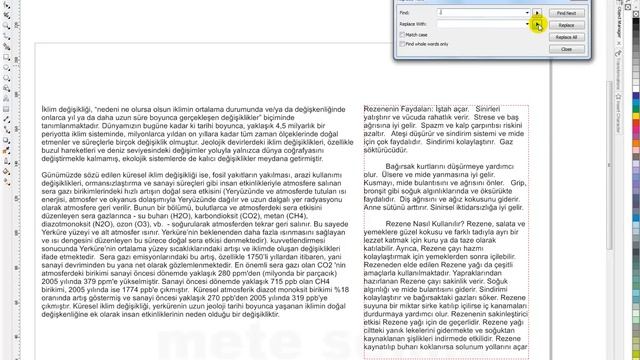 Corel Draw X6 Find and Replace Text uygulaması