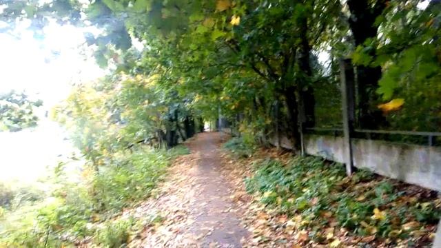 Светлана Сорокина, Я и Мигель. Новая жизнь 10 10 2023
