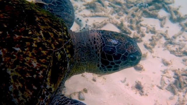 Цвета океана под расслабляющую музыку для сна и снятия стресса