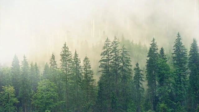 Исцеляющая музыка (432 Гц)