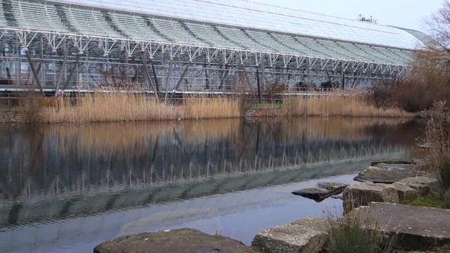 Плавание. Урок- 26 . Плавание в бассейне - 8 минусов .