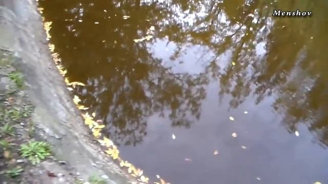 Озеро для отдыха. Наднепрянское, Херсон