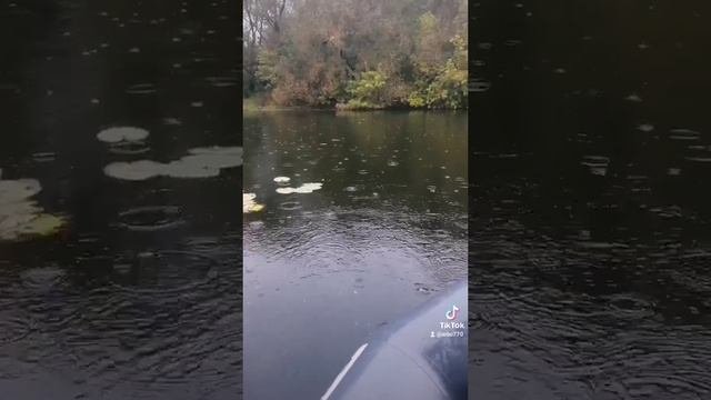 Рыбалка в дождь.