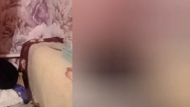 Сон и бодрствование