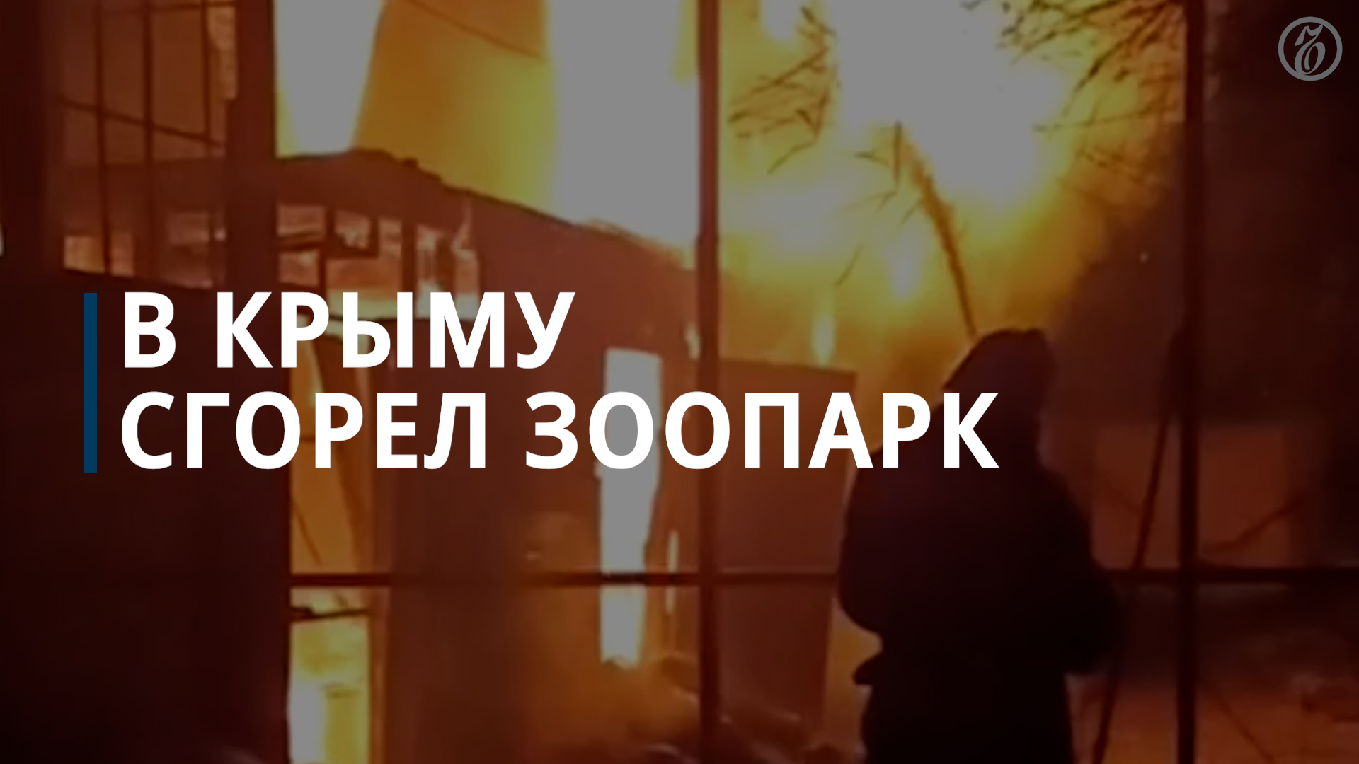 В Крыму сгорел зоопарк с более чем 200 видами животных — Коммерсантъ