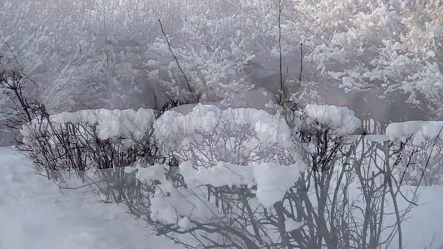Зимний парк Кусково в лучах заходящего солнца