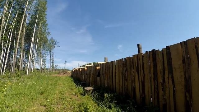 Как действовать при нападении пчелы