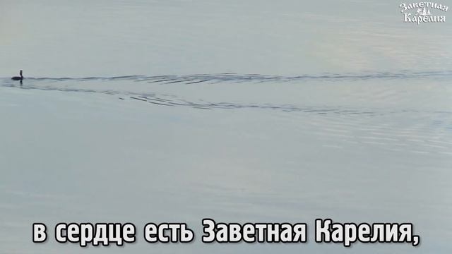 Песня "Заветная Карелия"