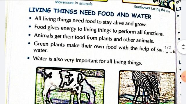 Living and Non Living Things
