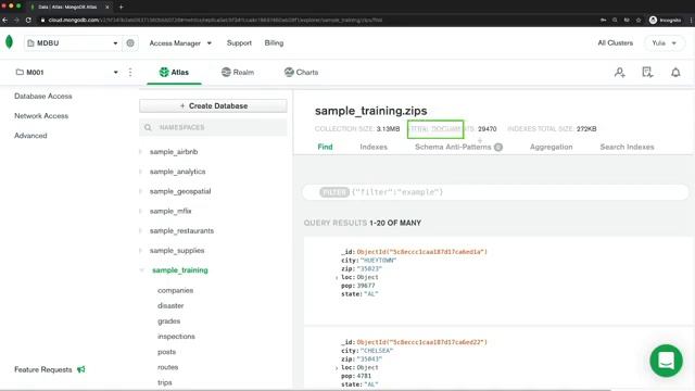 Data explorer in Mongo DB