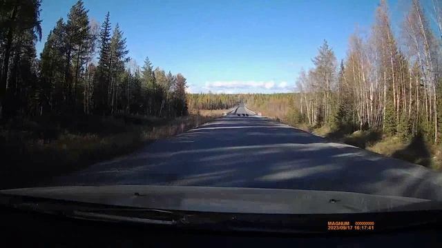 Три медведя